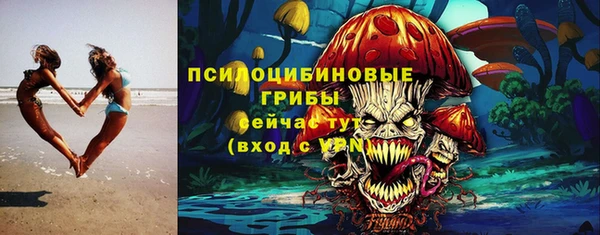 герыч Бородино